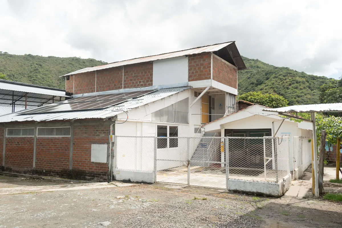 Los Orígenes