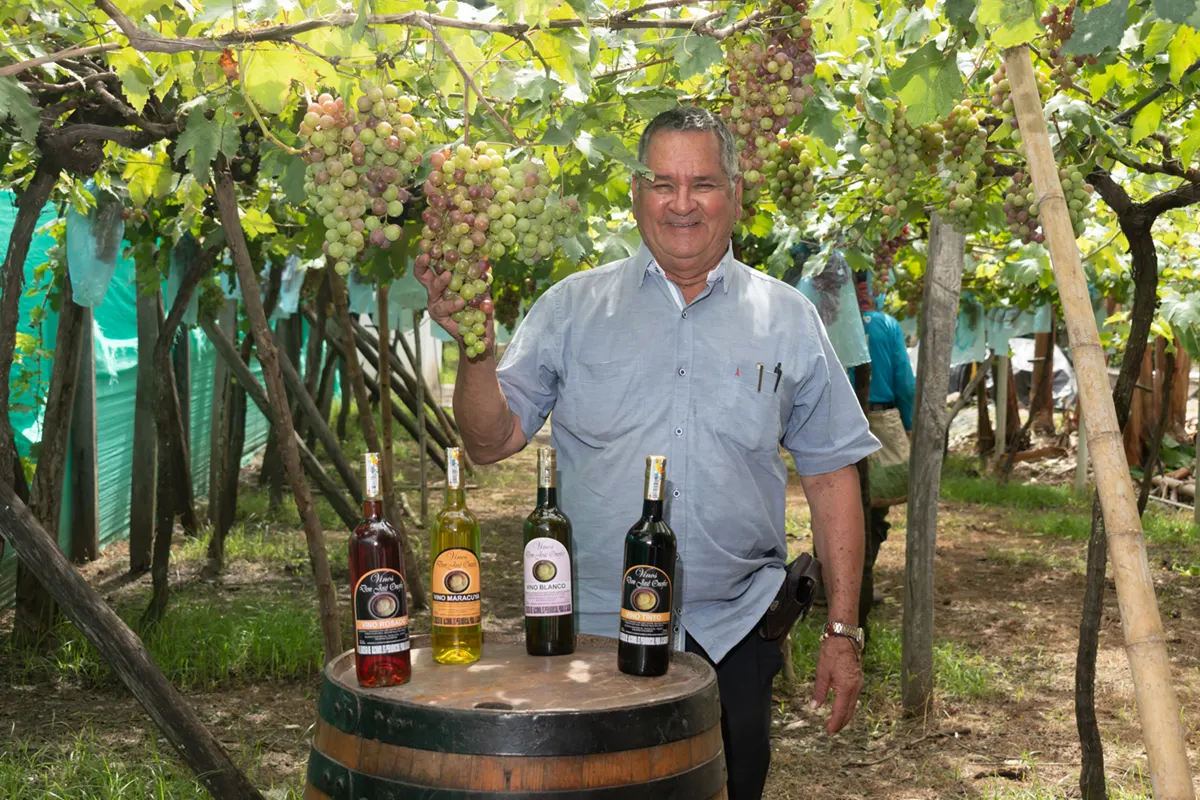 Nace "Vinos Don Jose Onofre"